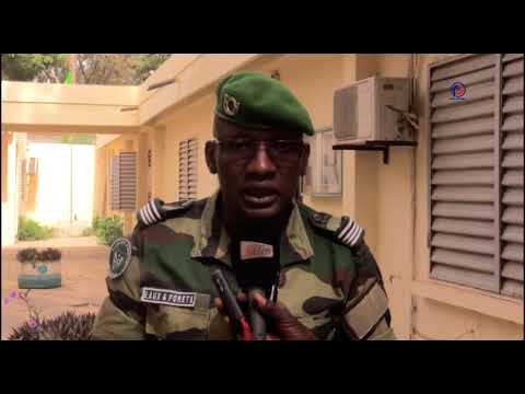 Abattage de caïlcédrats à Thiès : les explications du chef du service régional des Eaux et forêts